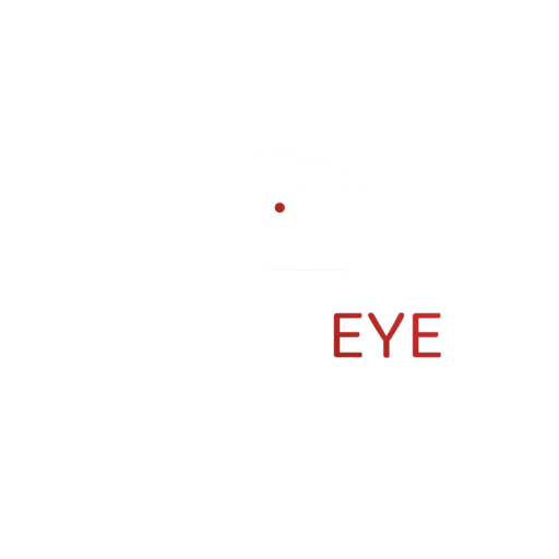 3rdeyeproduction.com